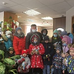 В Лузе по итогам акции «Рождество в каждый дом» собрали 80 сладких подарков для детей