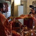 Епископ Паисий совершил Божественную литургию в день престольного праздника в селе Сметанино