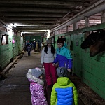 Воспитанники воскресной школы города Котельнича и их родители посетили конную ферму